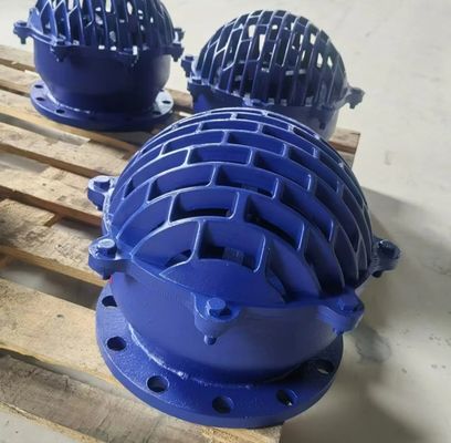BS4504 flange end ductile iron foot valve