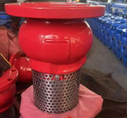 ANSI GGG-50 Ductile Iron foot valve