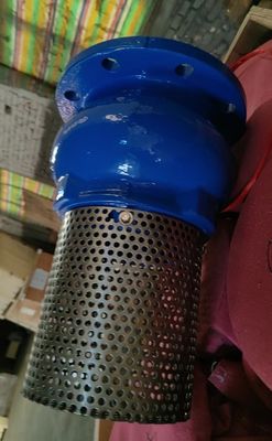 ANSI GGG-50 Ductile Iron foot valve