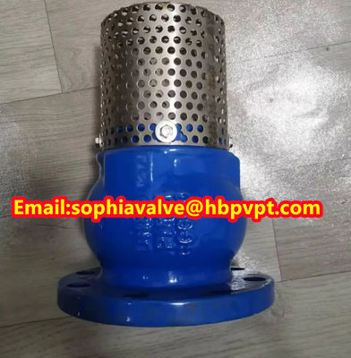 DIN PN16 GGG-50 Ductile Iron foot valve
