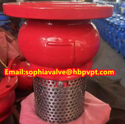 DIN PN16 GGG-50 Ductile Iron foot valve