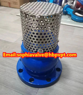 DIN PN16 GGG-50 Ductile Iron foot valve