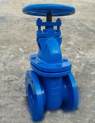 DN100 PN10 GG25 BS3464 gate valve