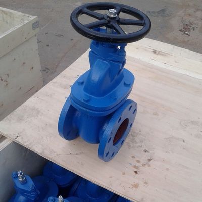 DN100 PN10 GG25 BS3464 gate valve