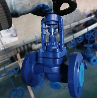 GG25 PN16 DIN globe valve manufacturer