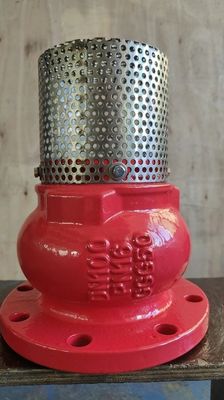 screen SS304 DN100 PN16 GGG50 foot valve factory in Hebei Province
