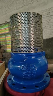 screen SS304 DN100 PN16 GGG50 foot valve factory in Hebei Province