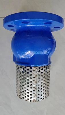 screen SS304 DN100 PN16 GGG50 foot valve factory in Hebei Province