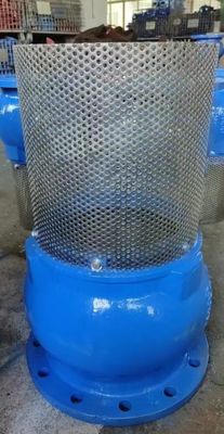 ductile iron flanged ANSI foot valve