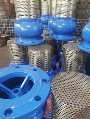 ductile iron flanged ANSI foot valve