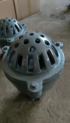 BS21 PN10/PN16 cast iron foot valve from China factory