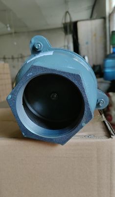 BS21 PN10/PN16 cast iron foot valve from China factory