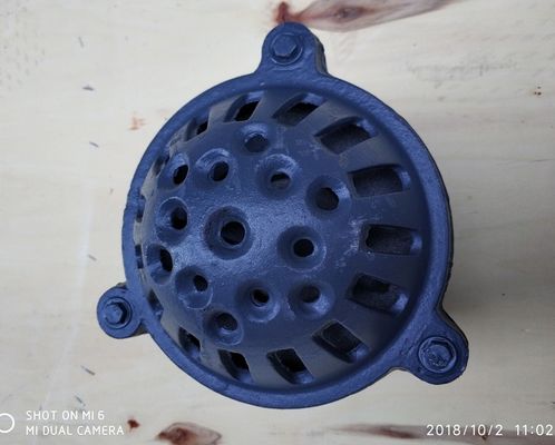 BS21 PN10/PN16 cast iron foot valve from China factory