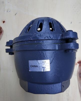 BS21 PN10/PN16 cast iron foot valve from China factory
