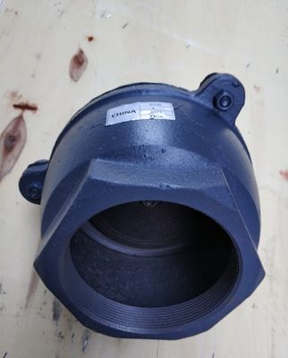 BS21 PN10/PN16 cast iron foot valve from China factory