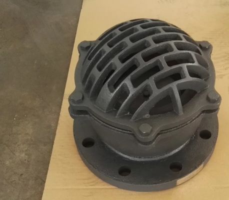 seal ring PTFE flanged cast iron foot valve