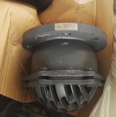 bs4504 flange end foot valve medium water