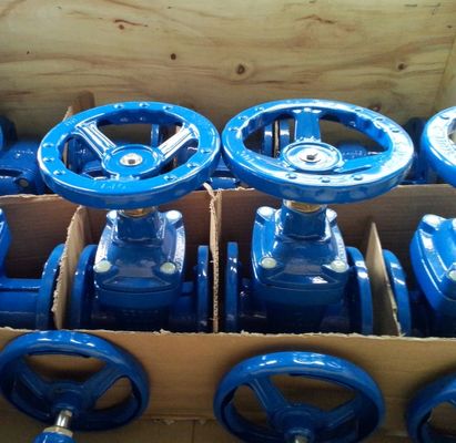DIN3352 resilient seal F5 cast iron Gate Valve