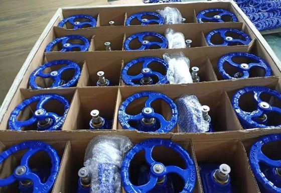 DIN3352 resilient seal F5 cast iron Gate Valve