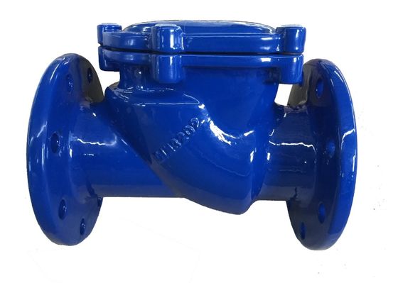 dn100 pn16 ggg50 din check valve