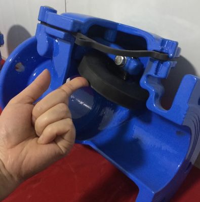 dn100 pn16 ggg50 din check valve