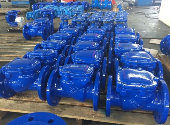 DIN3202 PN10/16 cast iron flanged swing check valve