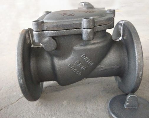 Cast iron check valve face to face DIN3202