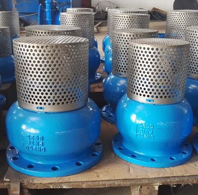 DN250 PN16 GG25 Screen SS304 foot valve