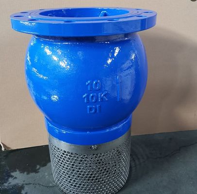 DN250 PN16 GG25 Screen SS304 foot valve