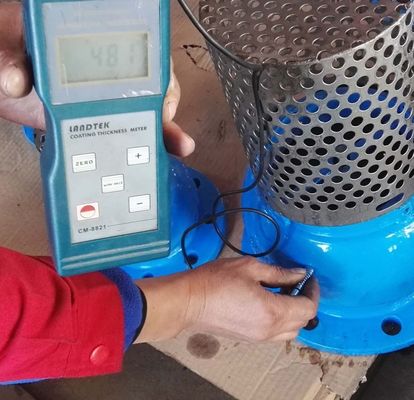 DN250 PN16 GG25 Screen SS304 foot valve