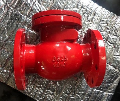 DN250 PN16 GGG50 cast iron swing check valve