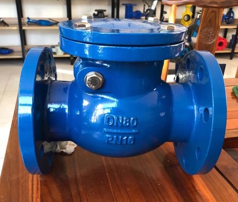 DN250 PN16 GGG50 cast iron swing check valve