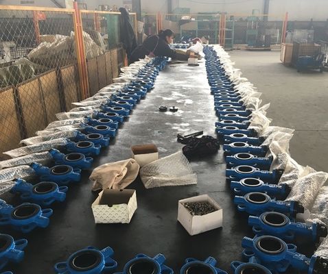 China GG20 cast iron DIN standard butterfly valve