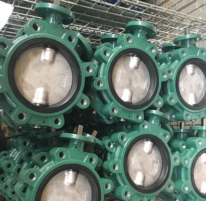 China GG20 cast iron DIN standard butterfly valve