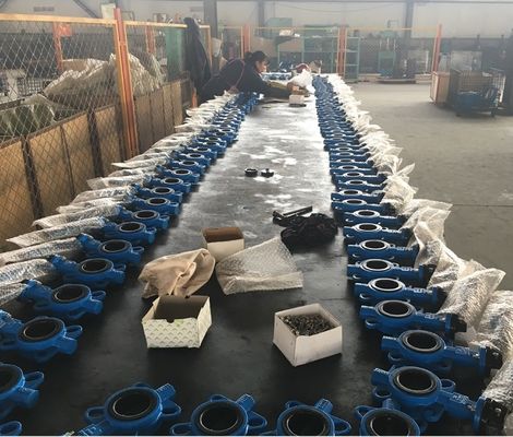 cast iron 3'' PN16 butterfly valve with pin