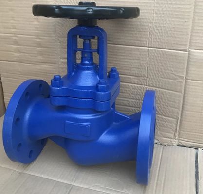 DIN bellows globe valve PN16 body GG25