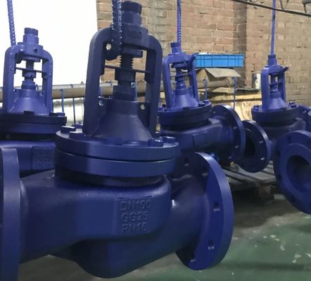 DIN bellows globe valve PN16 body GG25