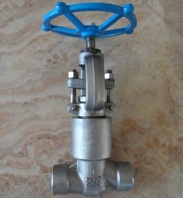 A182 F304/304L stainless steel forged globe valve