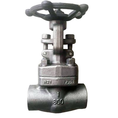 A182 F304/304L stainless steel forged globe valve