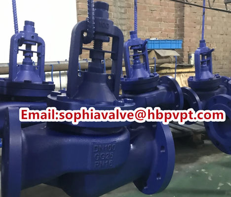 DIN3356 cast iron flanged bellows globe valve factory