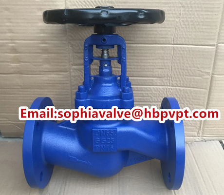 DIN3356 cast iron flanged bellows globe valve factory