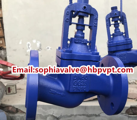 DIN3356 cast iron flanged bellows globe valve factory