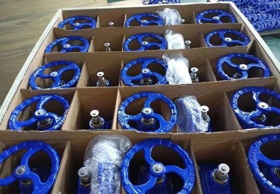 DIN3352 resilient seal cast iron PN16 gate valve