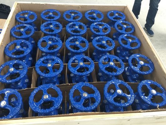 DIN3352 resilient seal cast iron PN16 gate valve
