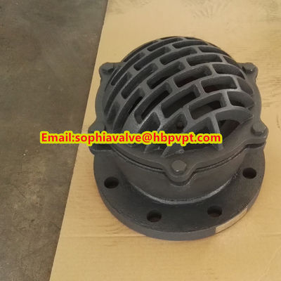 Seal ring PTFE grey iron flanged foot valve made in China