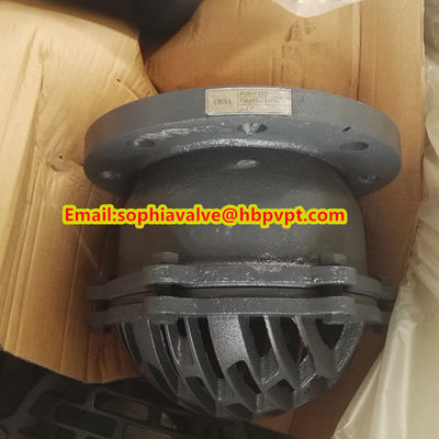Seal ring PTFE grey iron flanged foot valve made in China