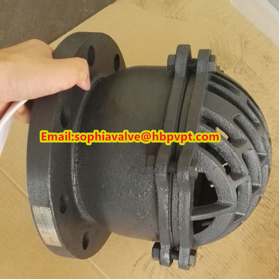 Seal ring PTFE grey iron flanged foot valve made in China