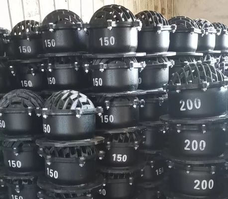 DN150 DN200 cast iron flanged foot valve