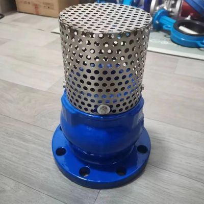 GGG50 PN10/16 cast iron foot valve