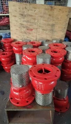GGG50 PN10/16 cast iron foot valve
